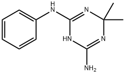 6,6-二甲基-2-N-苯基-1,6-二氢-1,3,5-三嗪-2,4-二胺 结构式