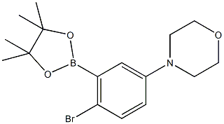 2-Bromo-5-(4-Morpholino)phenylboronic acid pinacol ester 结构式