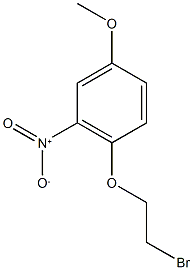 1-(2-bromoethoxy)-4-methoxy-2-nitrobenzene 结构式