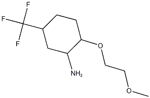 2-(2-METHOXYETHOXY)-5-(TRIFLUOROMETHYL)CYCLOHEXANAMINE 结构式