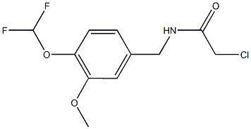 2-CHLORO-N-[4-(DIFLUOROMETHOXY)-3-METHOXYBENZYL]ACETAMIDE 结构式