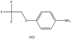 4-(2,2,2-trifluoroethoxy)aniline hydrochloride 结构式