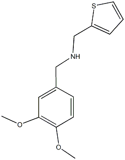 [(3,4-dimethoxyphenyl)methyl](thiophen-2-ylmethyl)amine 结构式