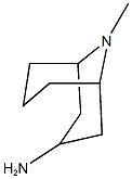 9Methyl-9-Azabicyclo[3,3,1]Nonan]3Amine 结构式