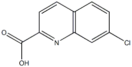 7-chloroquinoline-2-carboxylic acid 结构式