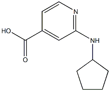 2-(cyclopentylamino)pyridine-4-carboxylic acid 结构式