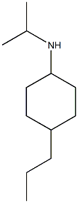 N-(propan-2-yl)-4-propylcyclohexan-1-amine 结构式