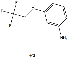 3-(2,2,2-TRIFLUOROETHOXY)ANILINE HYDROCHLORIDE 结构式