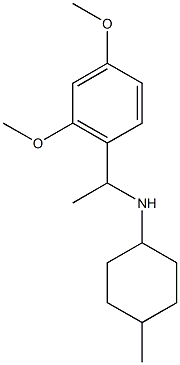 N-[1-(2,4-dimethoxyphenyl)ethyl]-4-methylcyclohexan-1-amine 结构式