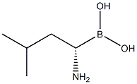 (S)-(1-氨基-3-甲基丁基)硼酸 结构式