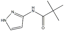 N-(1H-吡唑-3-基)新戊酰胺 结构式