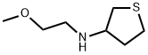 N-(2-methoxyethyl)thiolan-3-amine 结构式