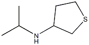 N-异丙基四氢噻吩-3-胺 结构式