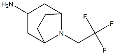 8-(2,2,2-三氟乙基)-8-氮杂双环[3.2.1]辛基-3-胺 结构式