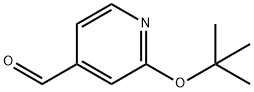 2-tert-Butoxy-pyridine-4-carbaldehyde 结构式