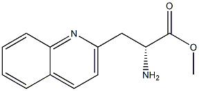 METHYL (2R)-2-AMINO-3-(2-QUINOLYL)PROPANOATE 结构式