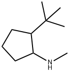 2-叔-丁基-N-甲基环戊烷-1-胺 结构式