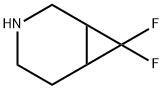 7,7-difluoro-3-azabicyclo[4.1.0]heptane 结构式