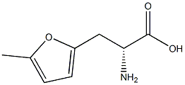 (R)-2-氨基-3-(5-甲基呋喃-2-基)丙酸 结构式