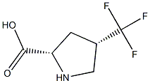 (2S,4S)-4-(三氟甲基)吡咯烷-2-羧酸 结构式