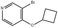 3-溴-4-环丁氧基吡啶 结构式