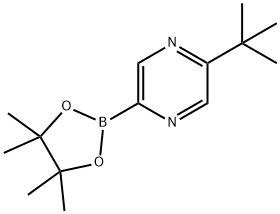 2-(tert-butyl)-5-(4,4,5,5-tetramethyl-1,3,2-dioxaborolan-2-yl)pyrazine 结构式