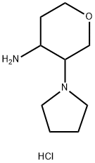 3-(pyrrolidin-1-yl)oxan-4-amine dihydrochloride 结构式