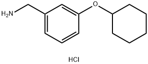 3-(环己基氧代)苯基]甲胺盐酸 结构式