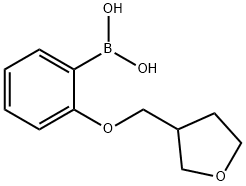 {2-[(噁戊环-3-基)甲氧基]苯基}硼酸 结构式