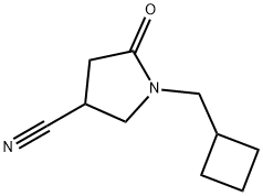 1-(环丁基甲基)-5-氧亚基吡咯烷-3-甲腈 结构式