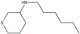 N-己基四氢-2H-噻喃-3-胺 结构式