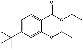 ethyl 4-tert-butyl-2-ethoxybenzoate 结构式