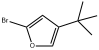 2-Bromo-4-(tert-butyl)furan 结构式