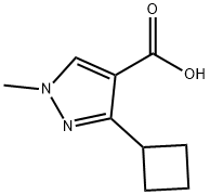 3-cyclobutyl-1-methyl-1H-pyrazole-4-carboxylic acid 结构式