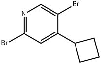 2,5-Dibromo-4-(cyclobutyl)pyridine 结构式