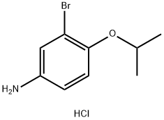3-溴-4-(丙-2-基氧基)苯胺盐酸盐 结构式