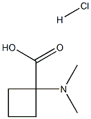 1-(二甲氨基)环丁烷-1-羧酸盐酸 结构式