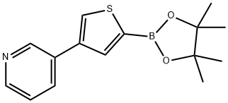 3-羟基-2,3-二甲基丁烷-2-基氢(4-(吡啶-3-基)噻吩-2-基)硼酸酯 结构式
