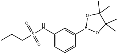 N-(3-(4,4,5,5-四甲基-1,3,2-二噁硼烷-2-基)苯基)丙烷-1-磺胺 结构式