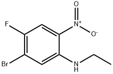 5-溴-N-乙基-4-氟-2-硝基苯胺 结构式