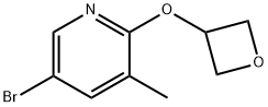 5-Bromo-3-methyl-2-(oxetan-3-yloxy)-pyridine 结构式