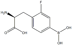 (S)-2-氨基-3-(4-硼-2-氟苯基)丙酸 结构式