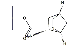 tert-butyl (1S,4S,6R)-6-amino-2-azabicyclo[2.2.1]heptane-2-carboxylate 结构式