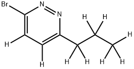 3-Bromo-6-(n-propyl)pyridazine-d9 结构式