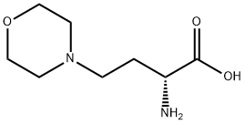 (R)-2-amino-4-morpholinobutanoic acid 结构式