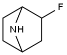 2-fluoro-7-azabicyclo[2.2.1]heptane 结构式