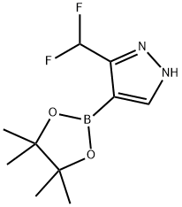 3-(difluoromethyl)-4-(4,4,5,5-tetramethyl-1,3,2-dioxaborolan-2-yl)-1H-pyrazole 结构式