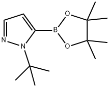 1-(叔丁基)-5-(4,4,5,5-四甲基-1,3,2-二氧杂硼烷-2-基)-1H-吡唑 结构式