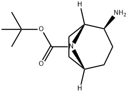 (1R,2S,5R)-2-氨基-8-氮杂双环[3.2.1]辛烷-8-羧酸叔丁酯 结构式