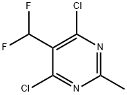 4,6-二氯-5-(二氟甲基)-2-甲基嘧啶 结构式